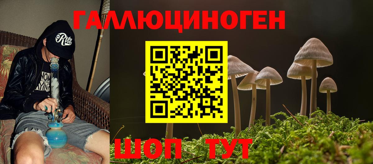 Псилоцибиновые грибы MAGIC MUSHROOMS Сланцы